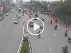 Ảnh bìa bài viết 443458