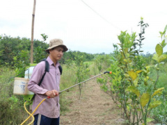 Ảnh bìa bài viết 443649