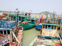 Ảnh bìa bài viết 443646