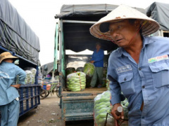 Ảnh bìa bài viết 443643