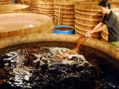Ảnh bìa bài viết 443834