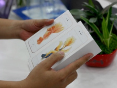 Ảnh bìa bài viết 443843
