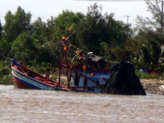 Ảnh bìa bài viết 443795