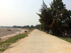 Ảnh bìa bài viết 444073