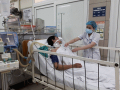 Ảnh bìa bài viết 444205