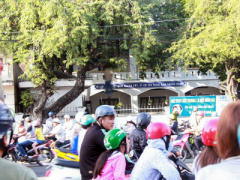 Ảnh bìa bài viết 444130