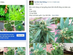 Ảnh bìa bài viết 444265