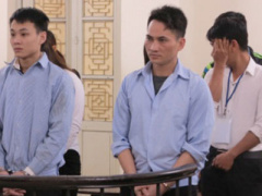 Ảnh bìa bài viết 444246