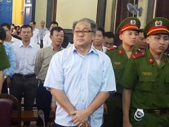 Ảnh bìa bài viết 444644