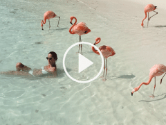 Ảnh bìa bài viết 444485