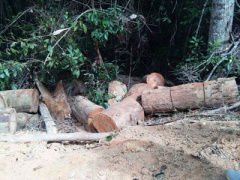 Ảnh bìa bài viết 444899