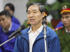 Ảnh bìa bài viết 445203
