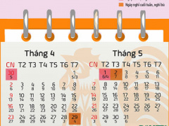 Ảnh bìa bài viết 445115