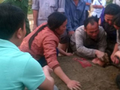 Ảnh bìa bài viết 445150