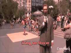 Ảnh bìa bài viết 445289