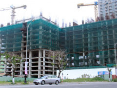 Ảnh bìa bài viết 445423