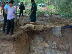 Ảnh bìa bài viết 445523