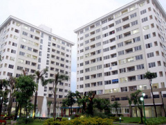 Ảnh bìa bài viết 445616