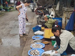 Ảnh bìa bài viết 445549