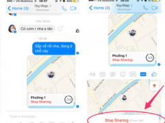 Ảnh bìa bài viết 445710