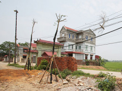 Ảnh bìa bài viết 445720