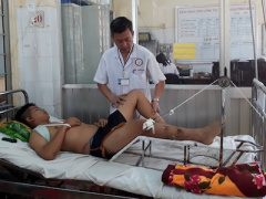 Ảnh bìa bài viết 445772