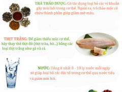 Ảnh bìa bài viết 445831