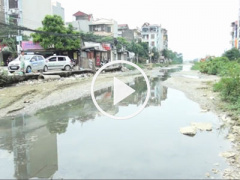 Ảnh bìa bài viết 445845