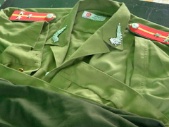 Ảnh bìa bài viết 445876
