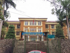 Ảnh bìa bài viết 445800