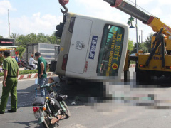 Ảnh bìa bài viết 446018