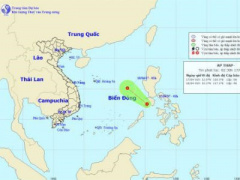 Ảnh bìa bài viết 446114