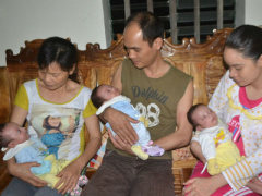 Ảnh bìa bài viết 446187