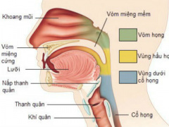 Ảnh bìa bài viết 446209