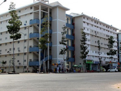 Ảnh bìa bài viết 446330