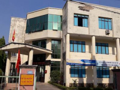 Ảnh bìa bài viết 446384