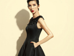 Ảnh bìa bài viết 446235