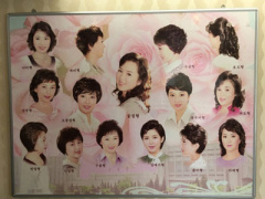 Post cover 446604