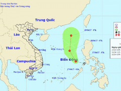 Ảnh bìa bài viết 446670