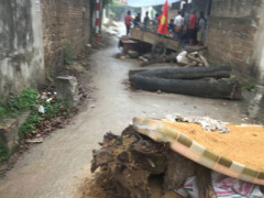 Ảnh bìa bài viết 446674