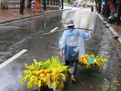 Ảnh bìa bài viết 446402