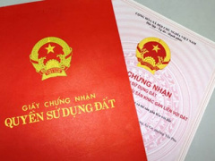 Ảnh bìa bài viết 446626