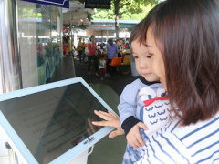 Ảnh bìa bài viết 446654
