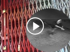 Ảnh bìa bài viết 446452