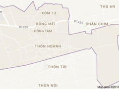 Ảnh bìa bài viết 446499