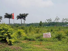 Ảnh bìa bài viết 446592