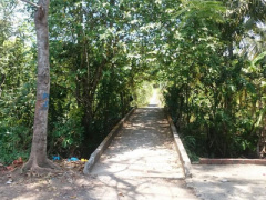 Ảnh bìa bài viết 446772