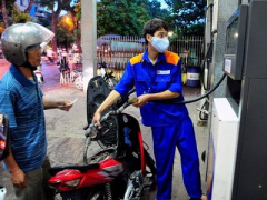 Ảnh bìa bài viết 446818