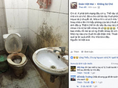 Ảnh bìa bài viết 446758