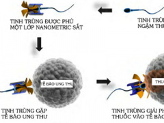 Ảnh bìa bài viết 446746